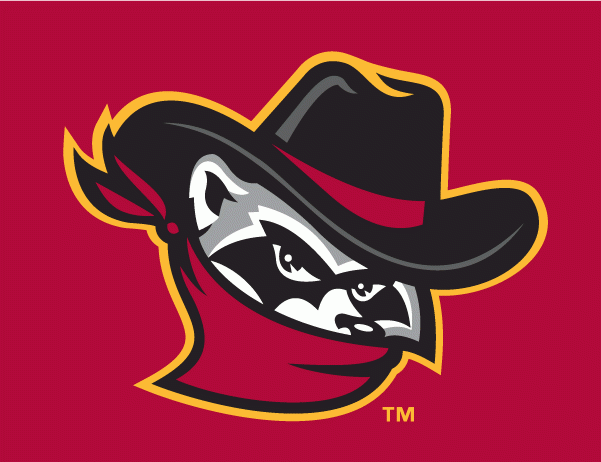 Quad Cities River Bandits 2011-pres cap logo iron on transfers for T-shirts